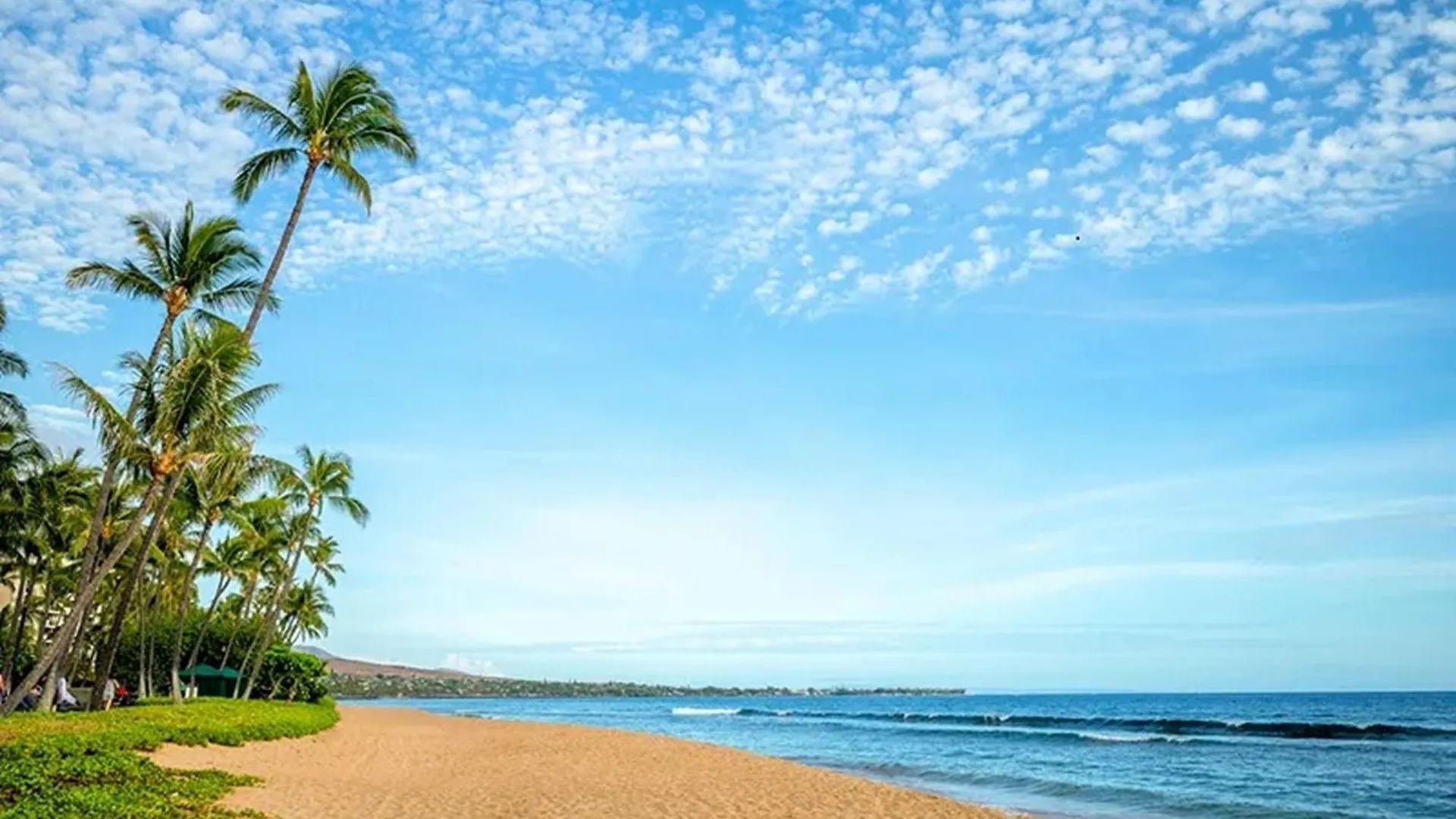 Aparthotel 3Mins Walk To Beach! Laundry, Pool, Hot Tub & More Kihei